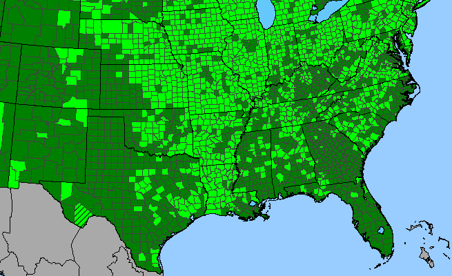 The range of Physalis heterophylla